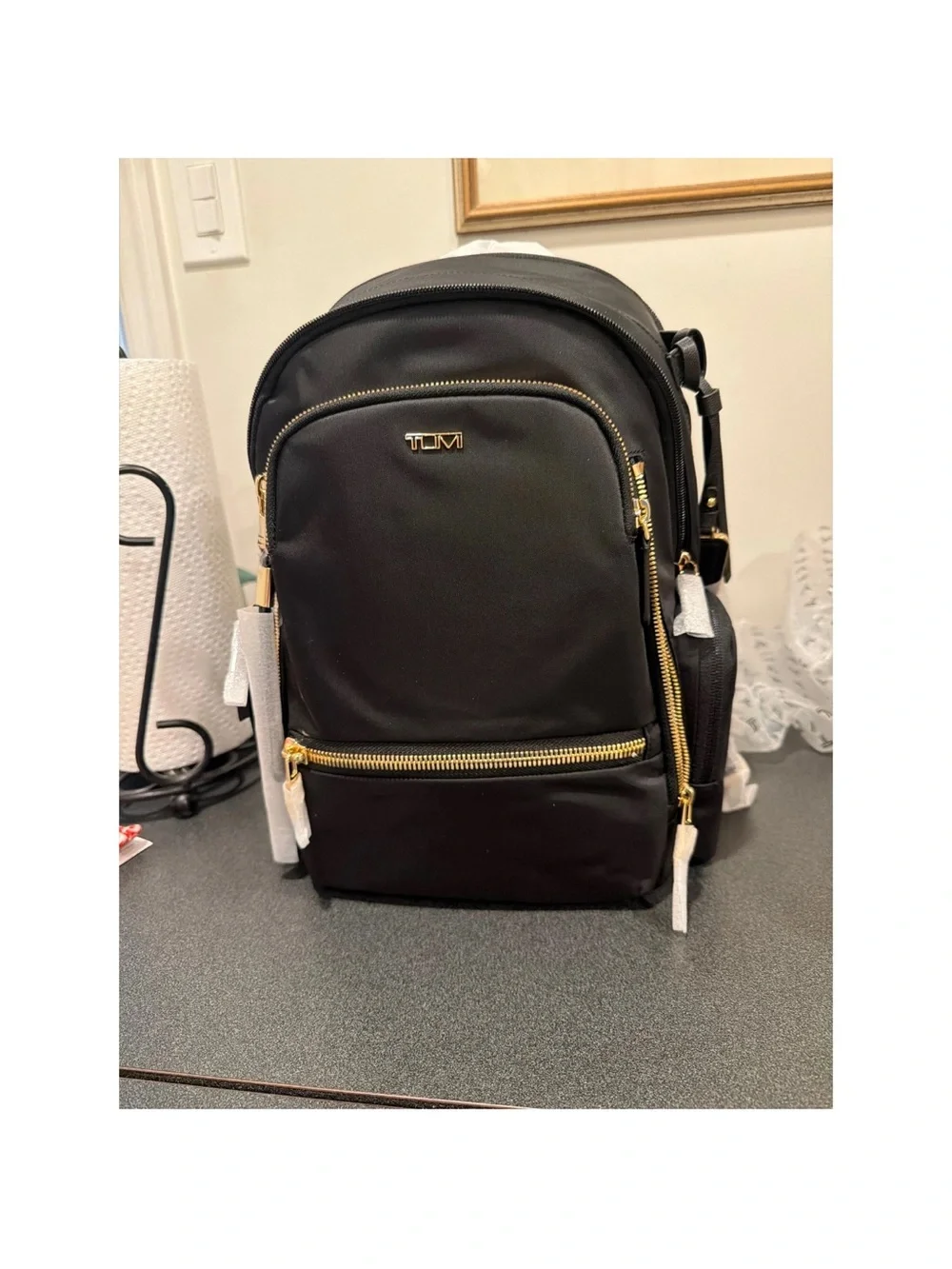 Brand New Tumi Backpak Explorer